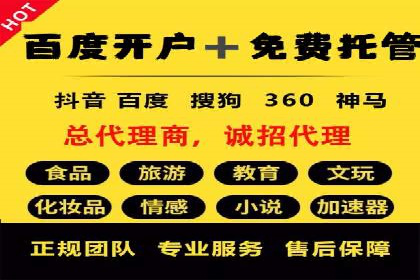 SEM推广策略：成功案例分享与优化技巧